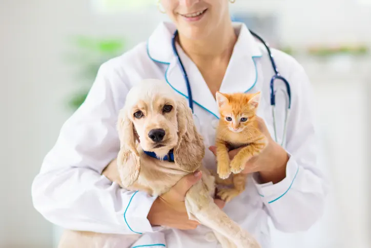 Chien & chat chez le vétérinaire