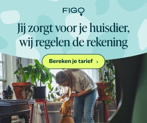 Dierenverzekeringen Figo hond