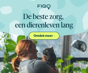 Dierenverzekeringen Figo kat