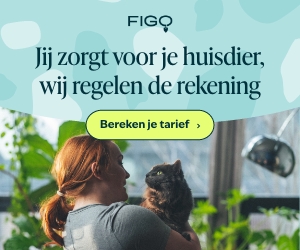 Dierenverzekeringen Figo kat