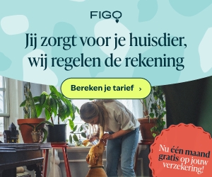 Dierenverzekeringen Figo hond