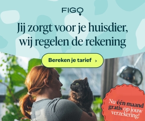 Dierenverzekeringen Figo kat