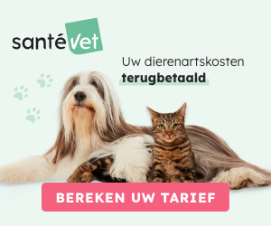 Dierenverzekeringen SantéVet Hond en kat