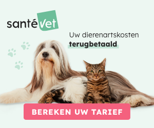 Dierenverzekeringen SanteVet Hond & Kat