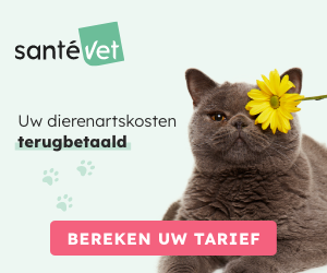 Dierenverzekeringen SanteVet Chat