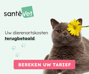 Dierenverzekeringen SantéVet kat