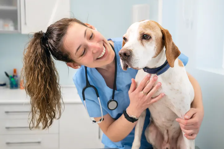 verzekering honden